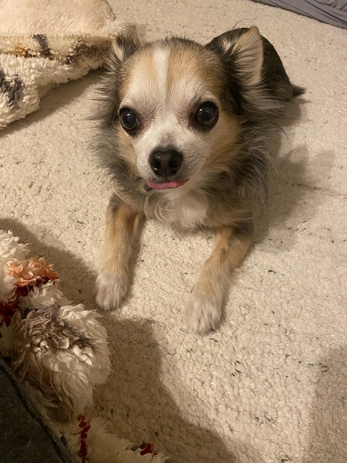 ららのプロジェクト再燃🔥🔥