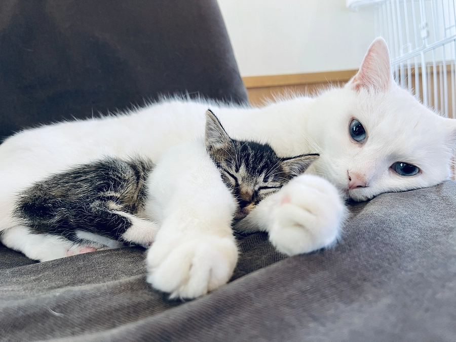 2024活動報告と、乳母活動お休みのお知らせ✉️