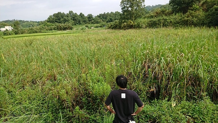 耕作放棄地を活用し地球や社会に貢献！『第１弾・本気でバナナ栽培』