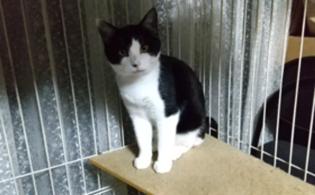 お礼のお手紙またはメール（1）