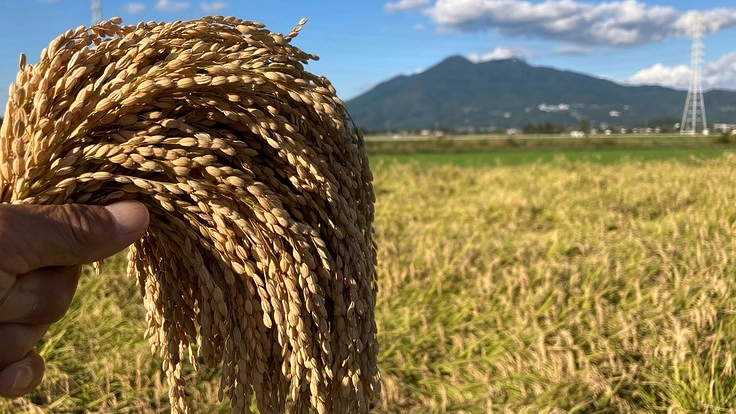 プロの農家を逆立ちさせたい！何も入れず土だけで作るお米の反収量8俵