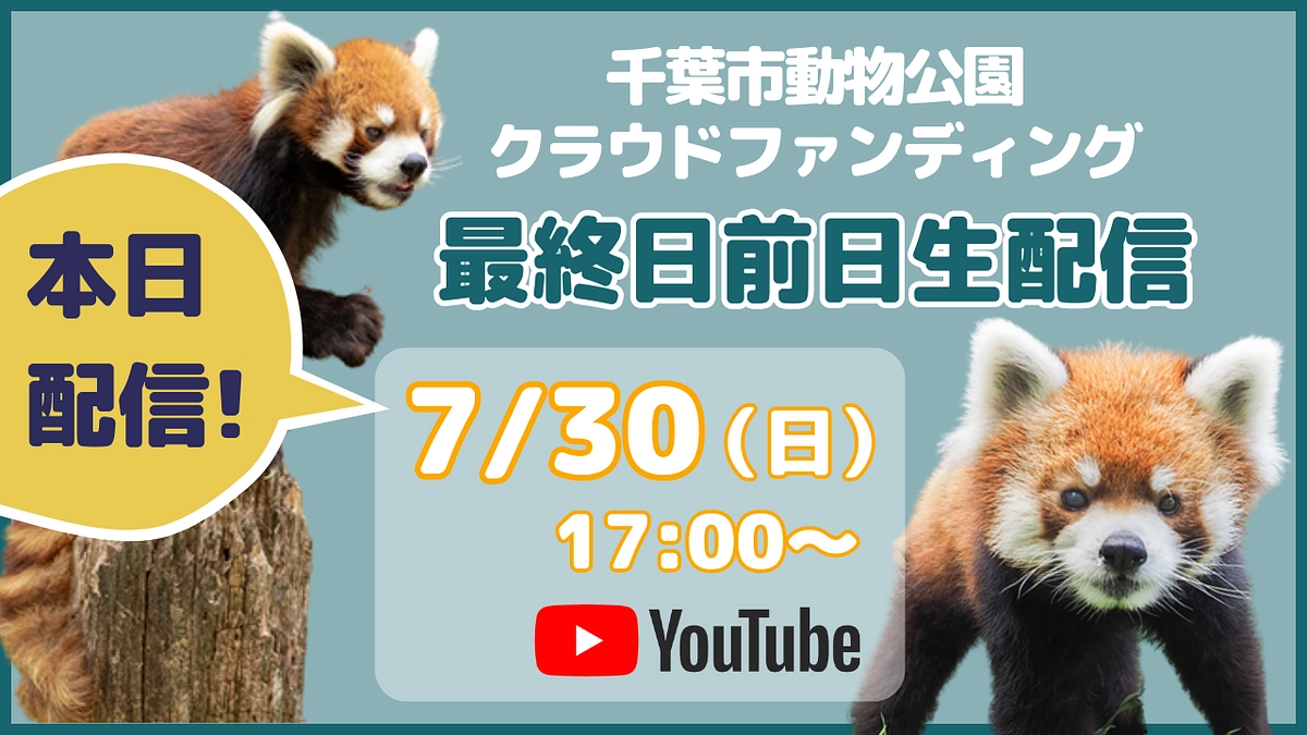 本日開催！【7月30日17時〜】千葉市動物公園 クラウドファンディング最終日前日生配信