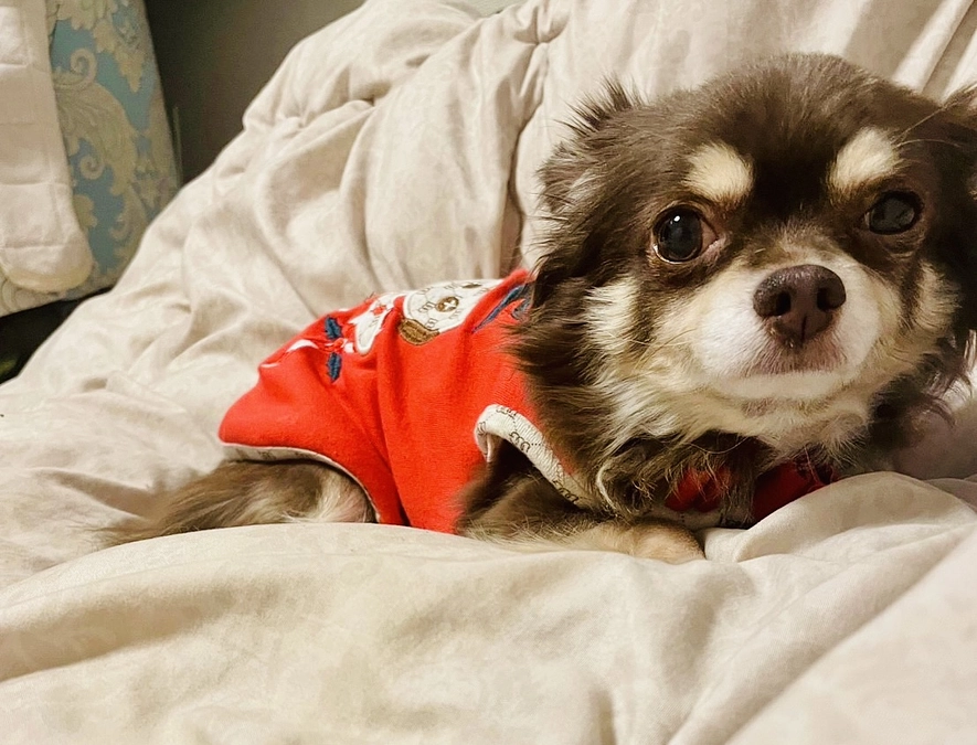 術後３カ月検診を終えました！！