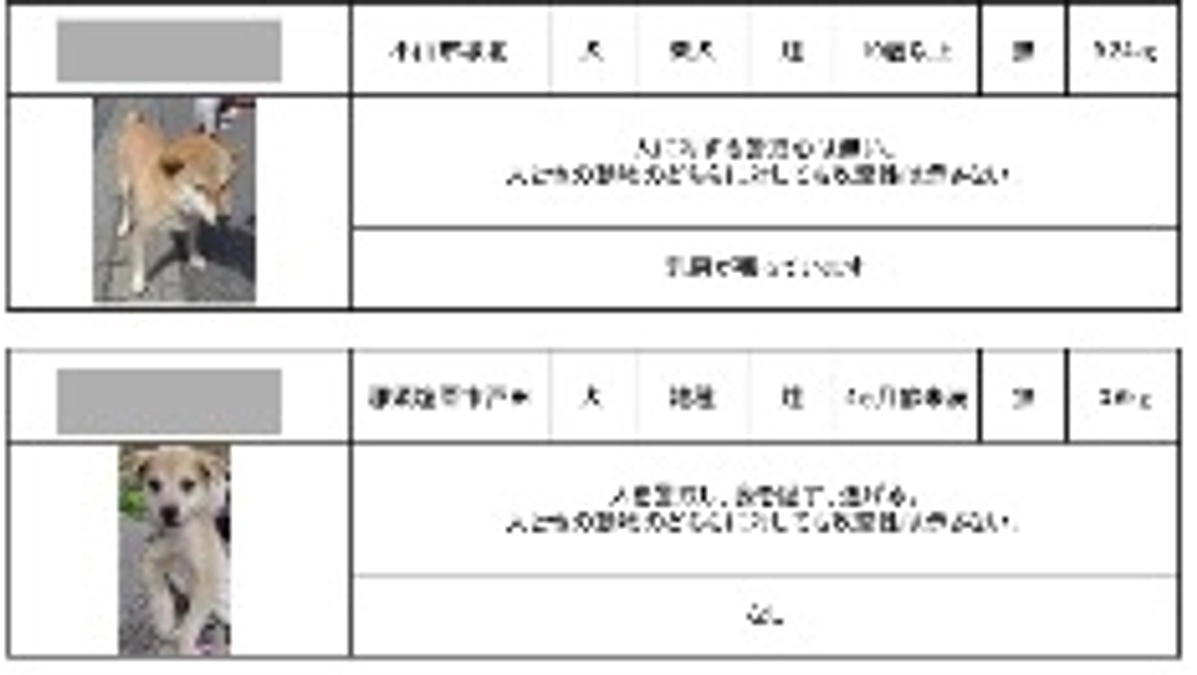 チャンスを掴んでみようか。