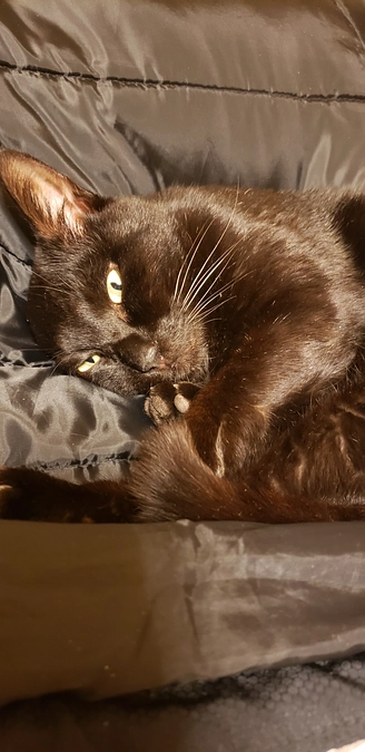 達成いたしました。