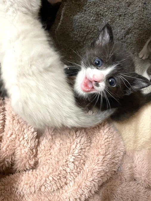 活動報告（2024年3月）