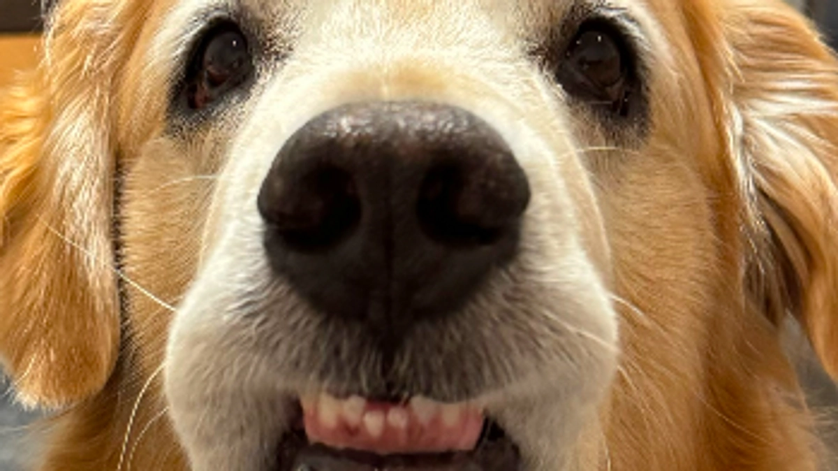 TikTokを更新するように致します