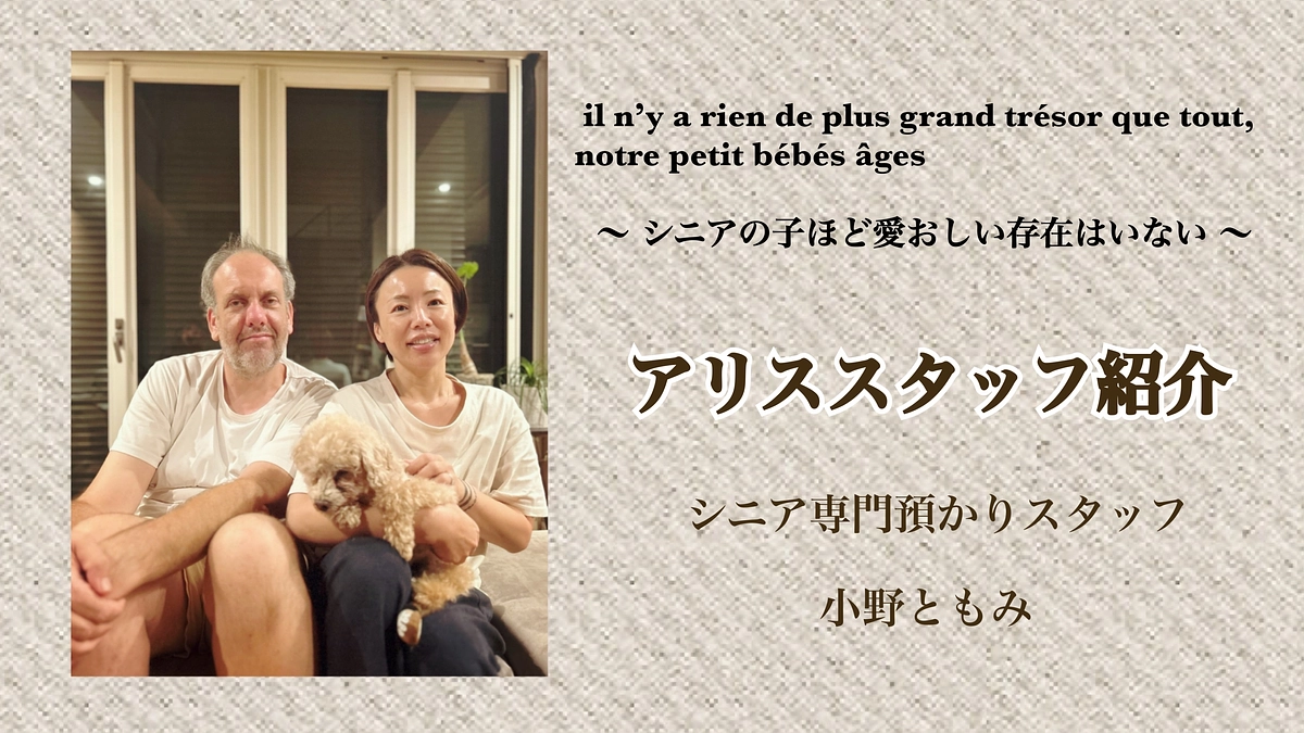 【終了まであと2日】アリススタッフのご紹介｜預かりスタッフ小野さん「老犬ほど愛おしい存在はいません」