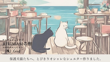 大分県で保護犬猫が幸せに暮らすことができるよう整備をしたい のトップ画像