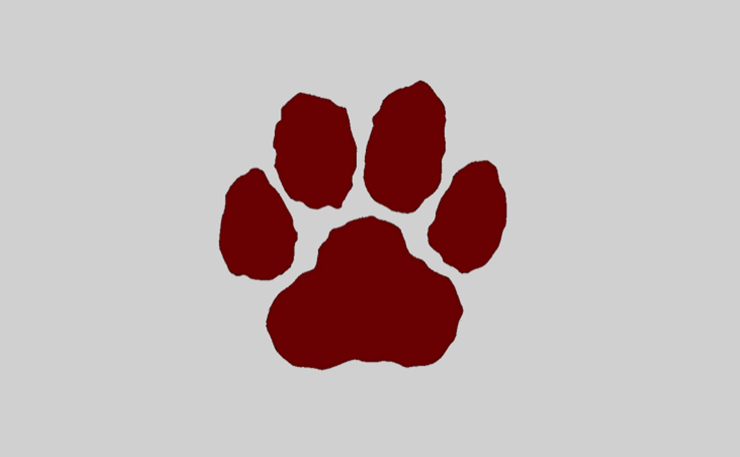 応援コース | 3,000円