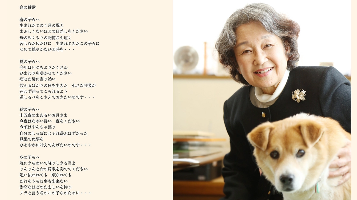 【大切なお知らせ】前代表、金木洋子より皆様へ〜活動の原点と変わらない思い〜