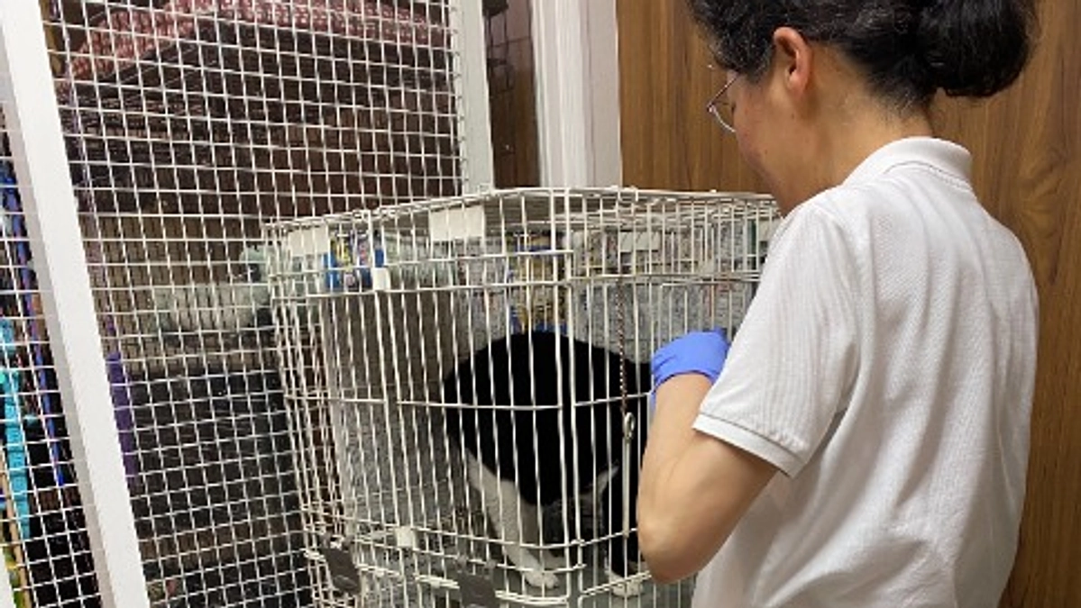 【メッセージリレー#５】スタッフの 河合雄子さんからメッセージいただきました。