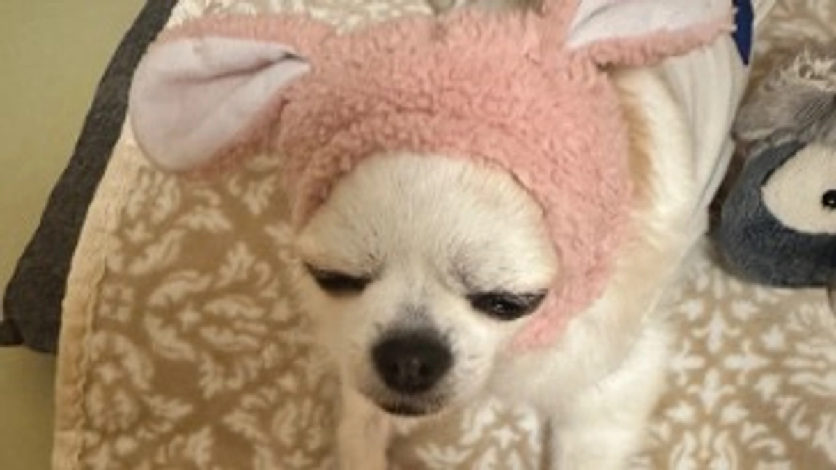 インスタライブありがとうございました