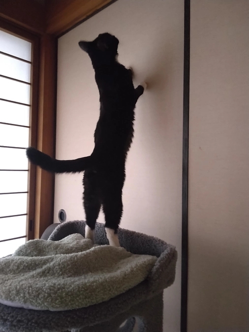 2/1はなちゃんの様子