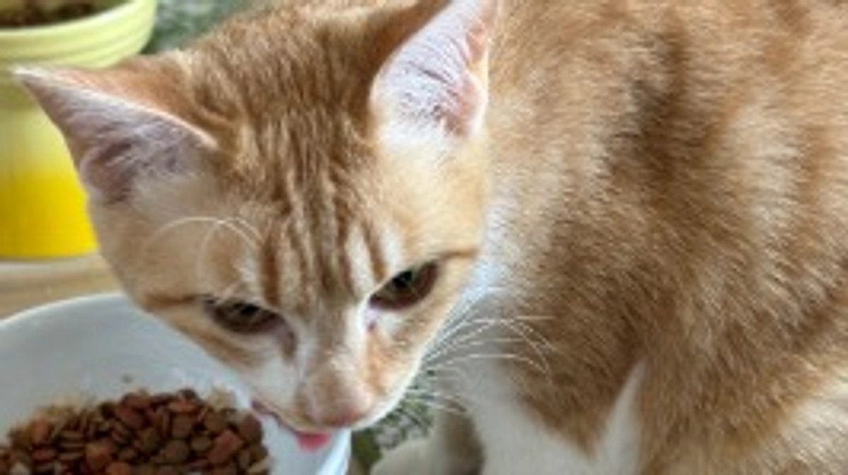 経過観察23日目（6/3）