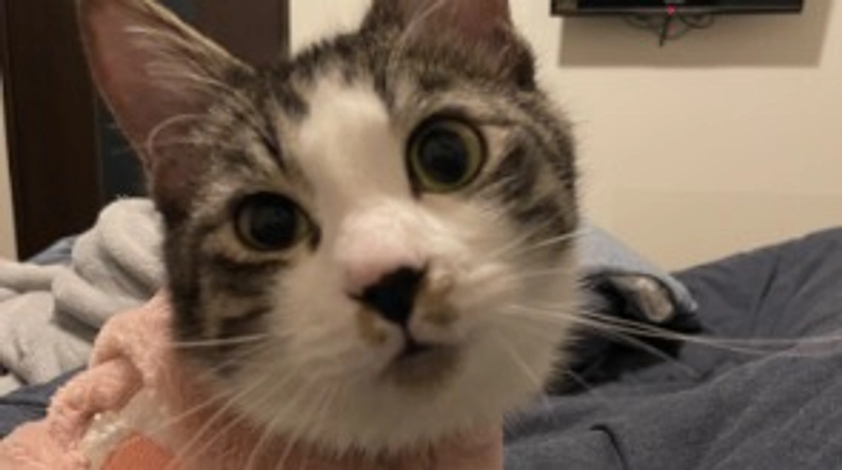 ご支援の輪が広がって