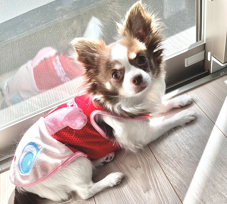 2023.11.29  達成率13%🚩