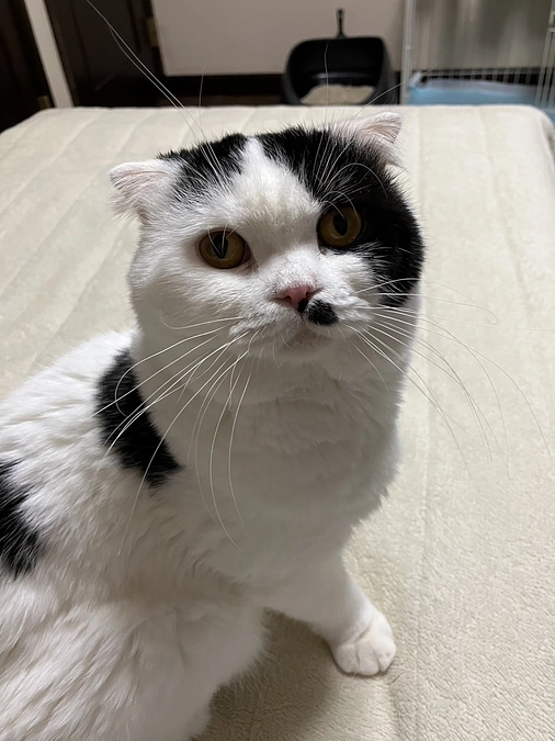 クラウドファンディング2日目