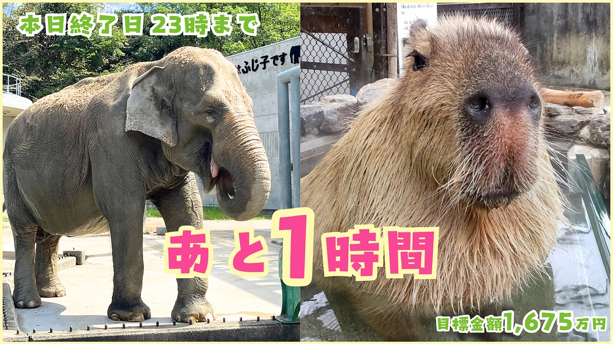 ラスト1時間..！皆さまと一緒に笑顔でゴールを迎えたい！！