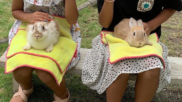元気いっぱいの子供達が居る仁淀川町に出張動物園を呼びたい！