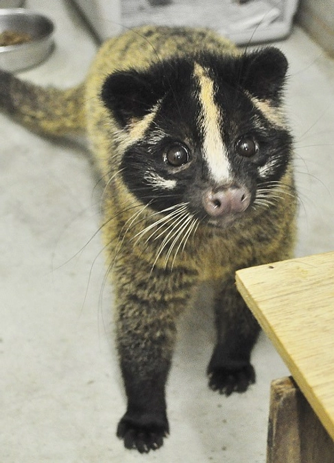 TVKのニュースがYouTubeで公開されました！！