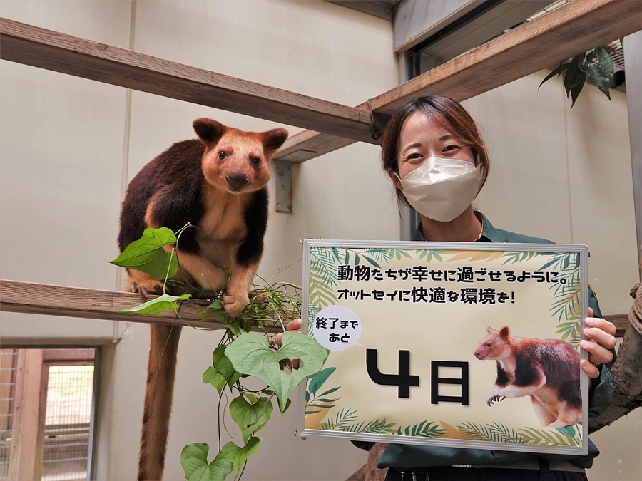 オットセイに快適な環境を！～プロジェクト終了まで【あと4日】～メッセージ紹介編