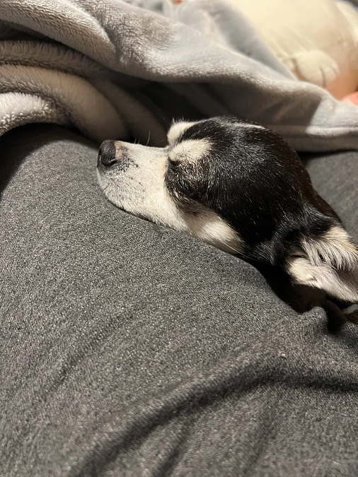 術後検診(3回目)