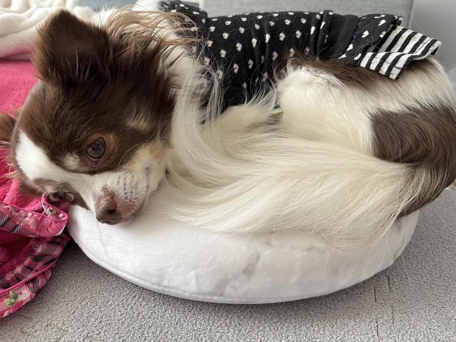 2023.11.22 達成率6%📣