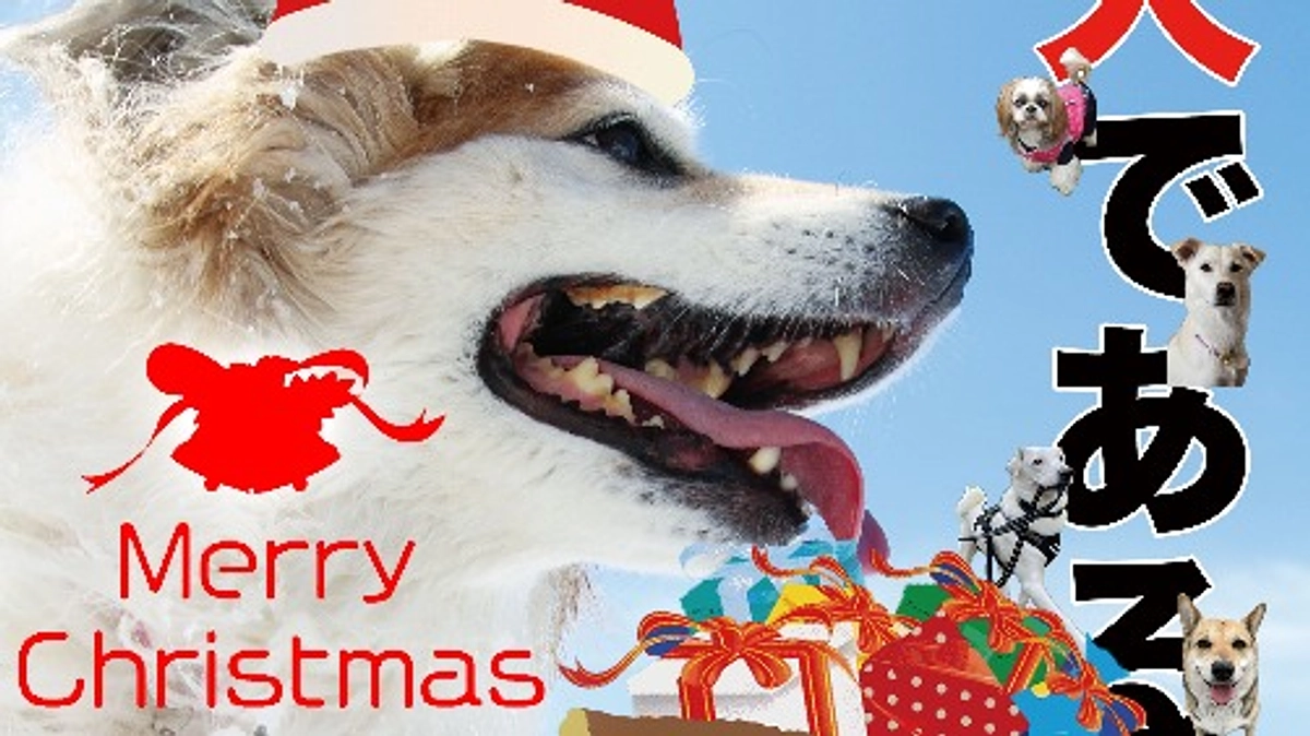 メリークリスマス！！
