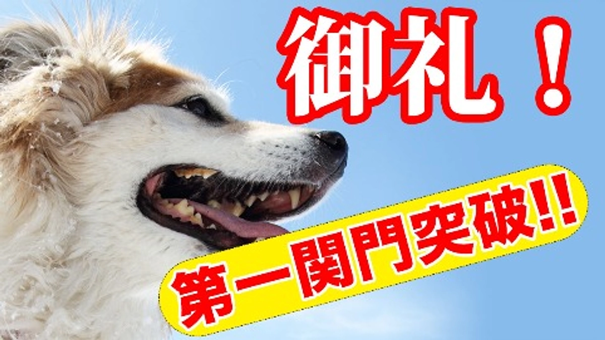 【第一関門30％突破！】保護わんと少年院の子どもたち。