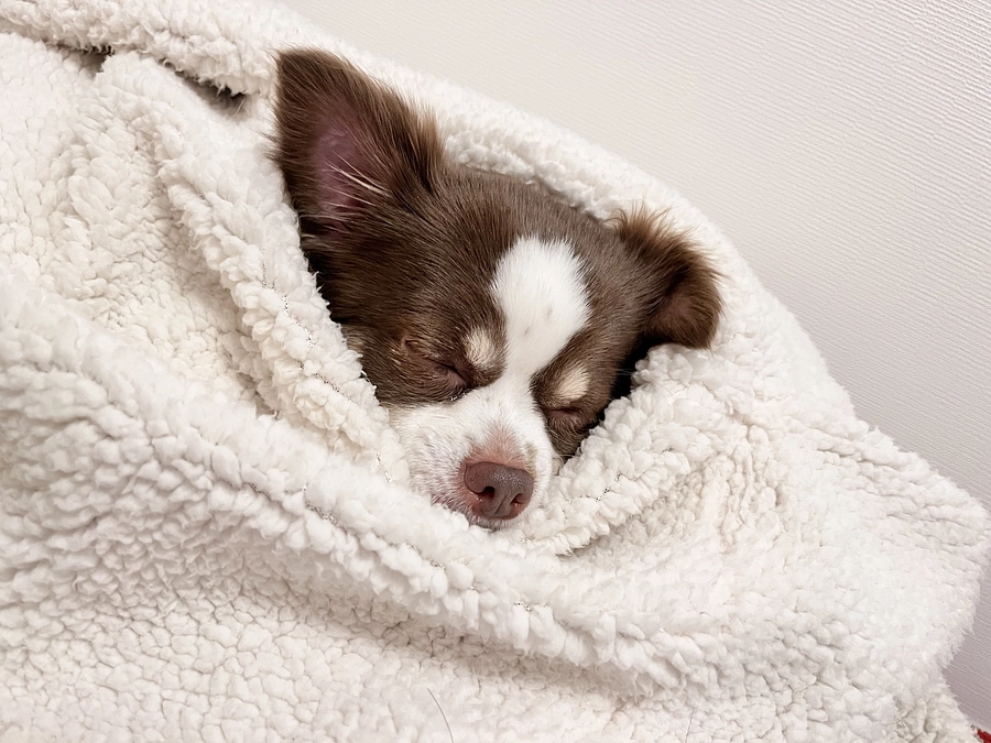 2023.11.24  プロジェクト達成率7%🔥