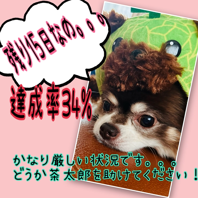 手術費用や今までの治療費などになります。