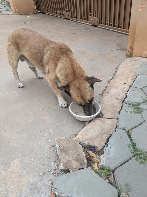 同じ日の夕方に投薬１回目成功!