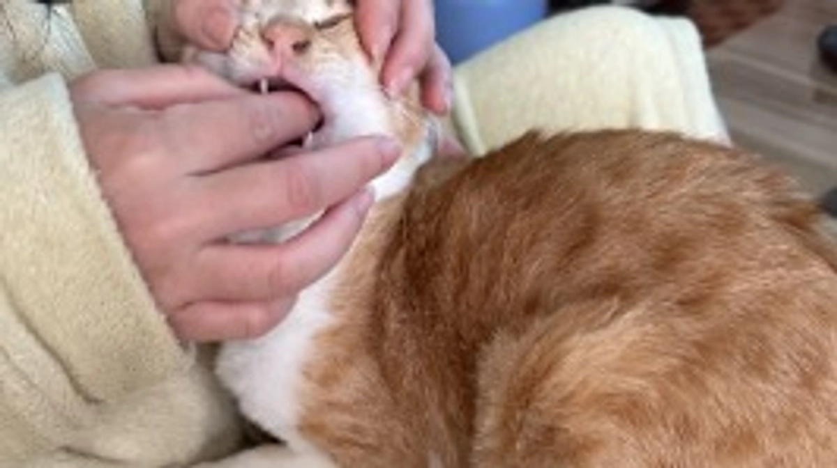 経過観察12日目（5/23）