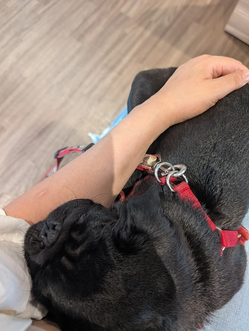 術前検査のため、病院へ来ました