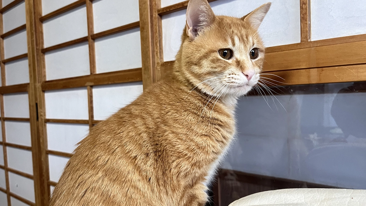 ご支援のお礼と報告とお願い🙇‍♂️