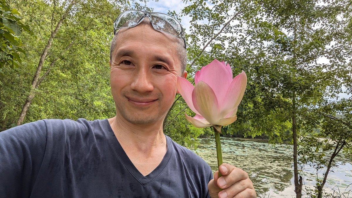 ついに蓮の花が