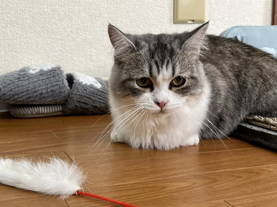 治療40日目のココロ