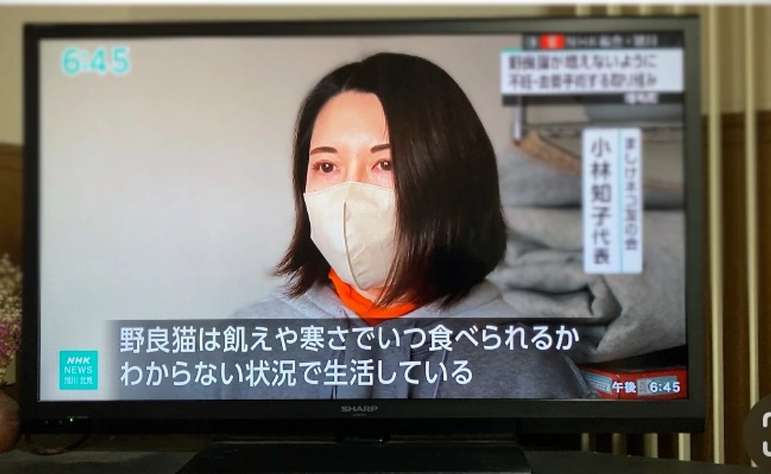 ほっとニュース北海道