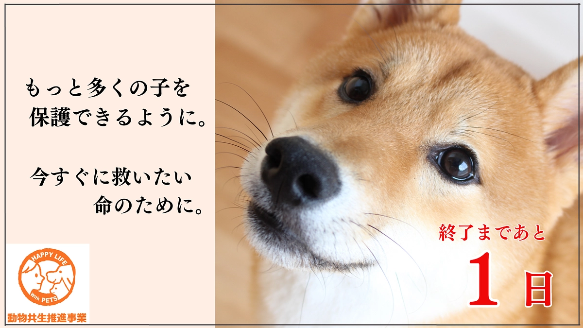 あと1日！支援募集は明日23時まで！