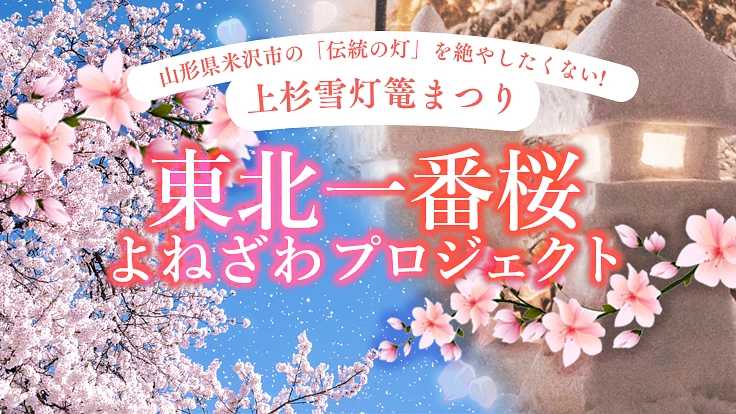 伝統の灯を絶やしたくない！「東北一番桜よねざわプロジェクト」