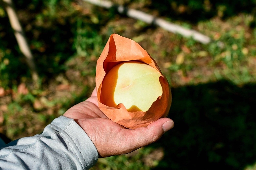 プロジェクト終了のお知らせ