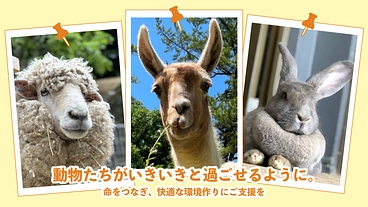41年間みんなに愛される岡崎市東公園動物園。動物の住環境向上へ！
