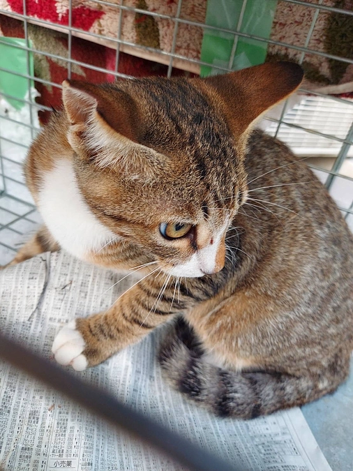 人の気持ちに寄り添いながら活動を続けていきます