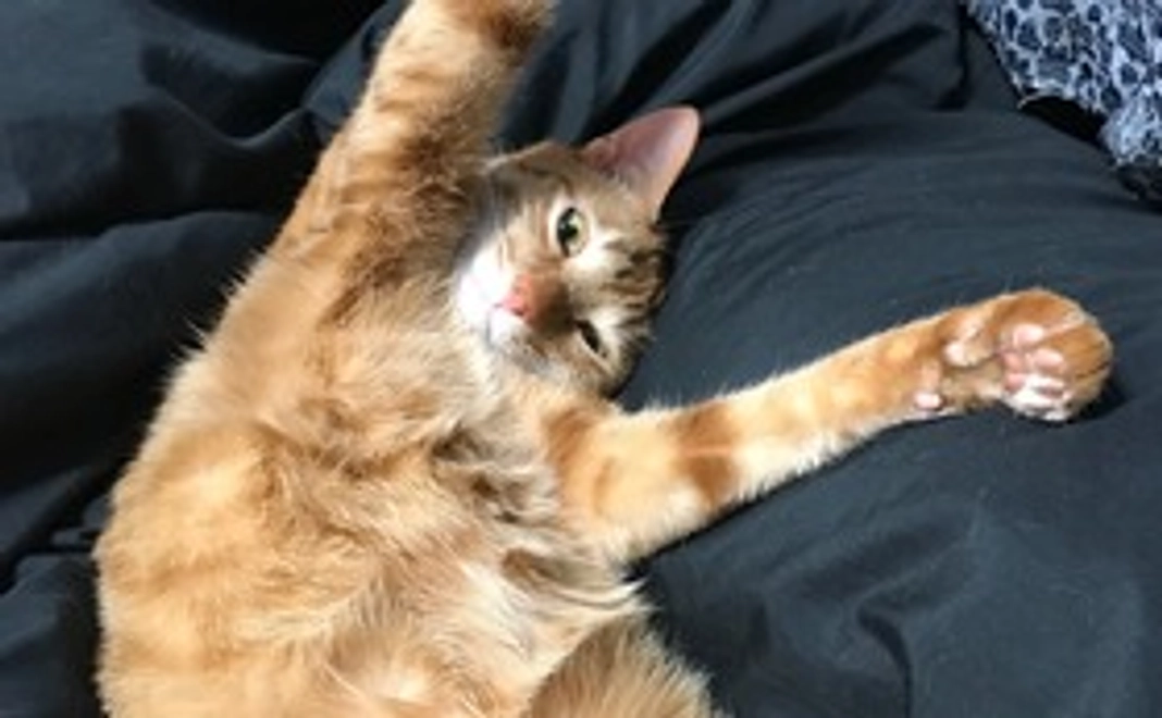 れつの写真付き感謝メール①