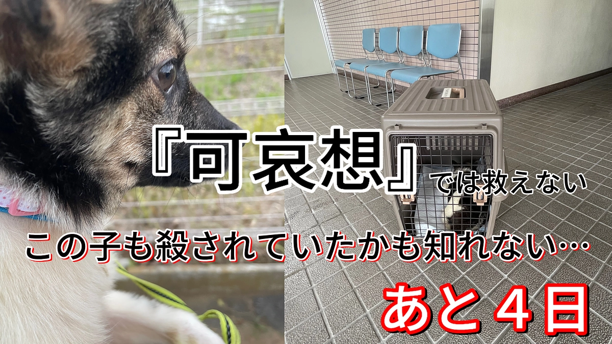 ７月１５日までに、、、、