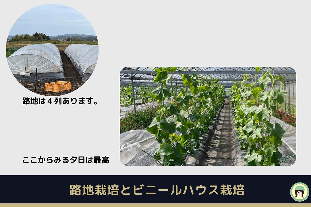 公開初日！58％達成　ありがとうございます。