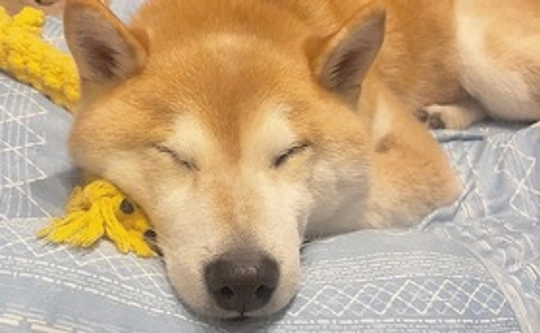 そらへのご支援1