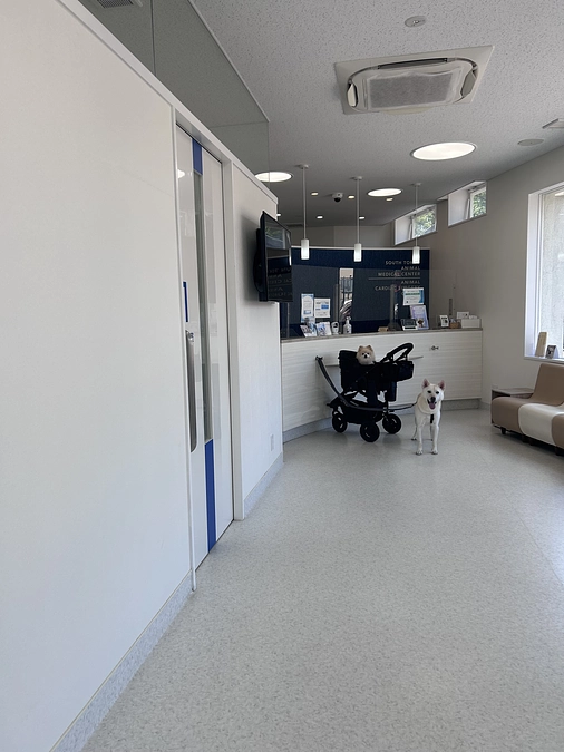 クロスマッチ検査…