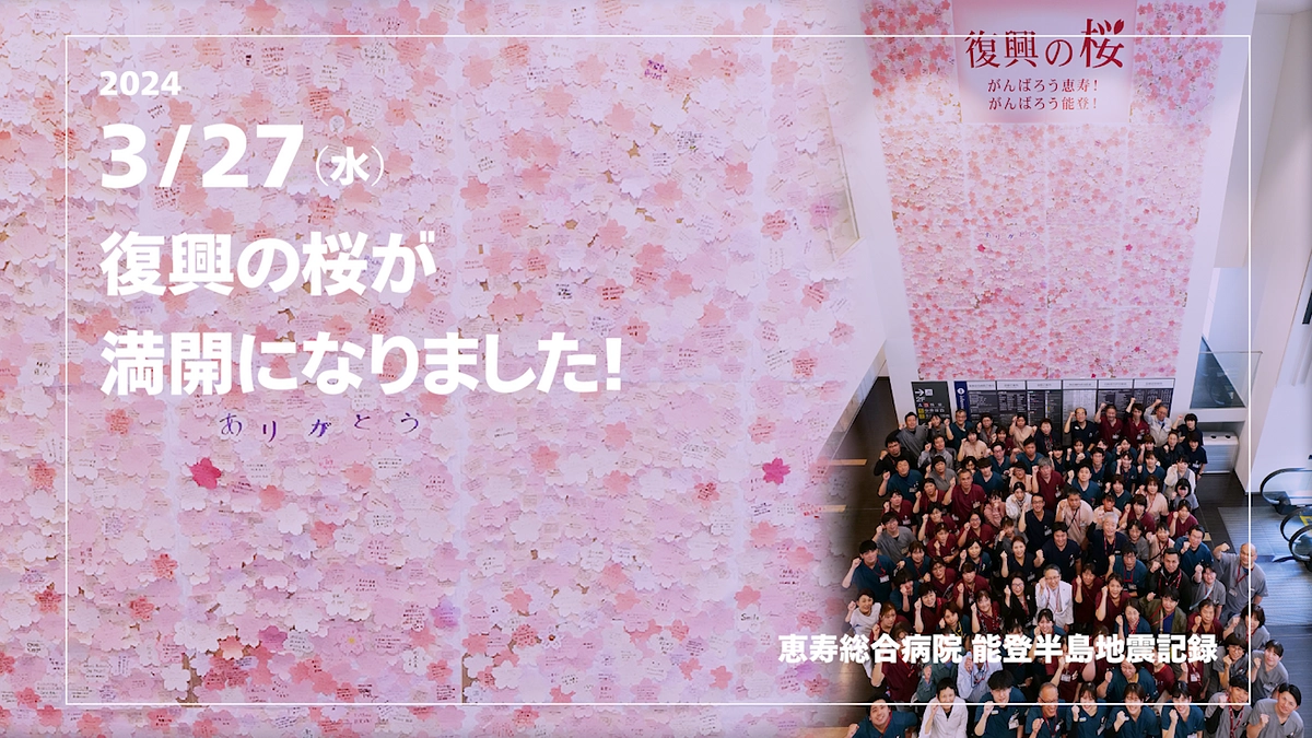 ご支援いただいたすべての皆様へ　復興の桜が満開になりました！